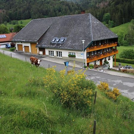 Ferienwohnung Talblick Todtmoos Kültér fotó