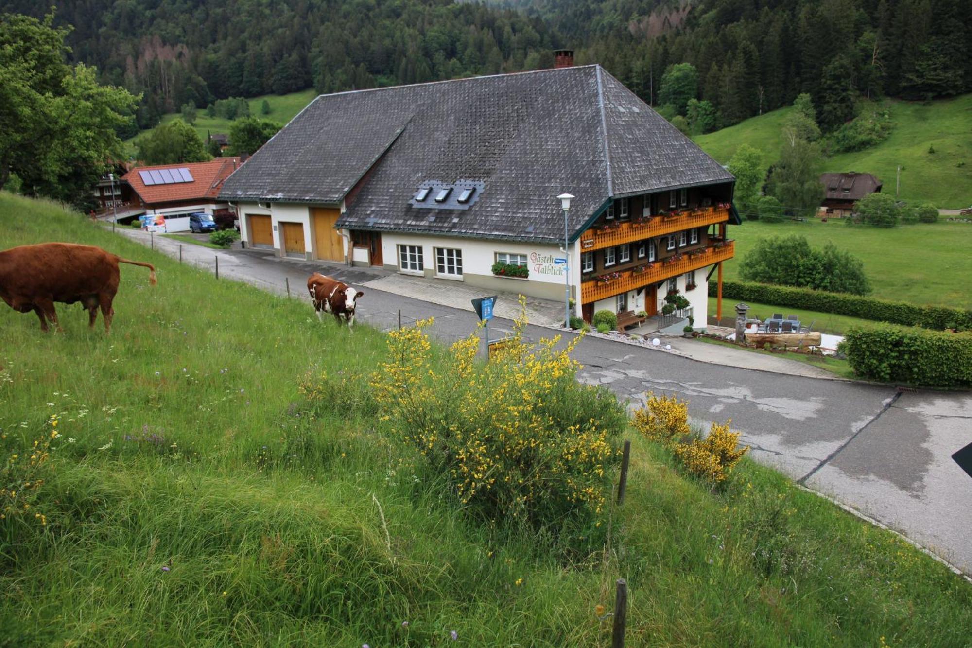 Ferienwohnung Talblick Todtmoos Kültér fotó